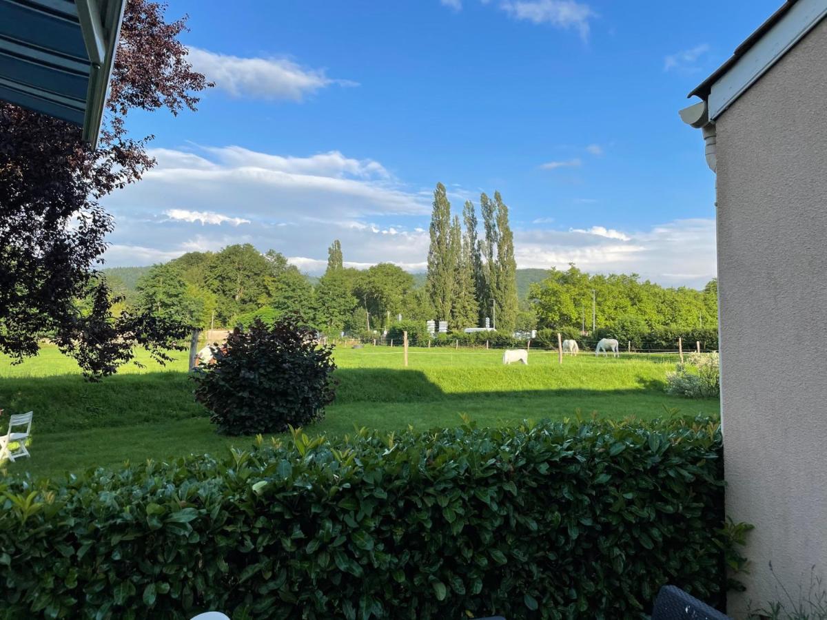 Hotel Saint Odilon クリュニー エクステリア 写真